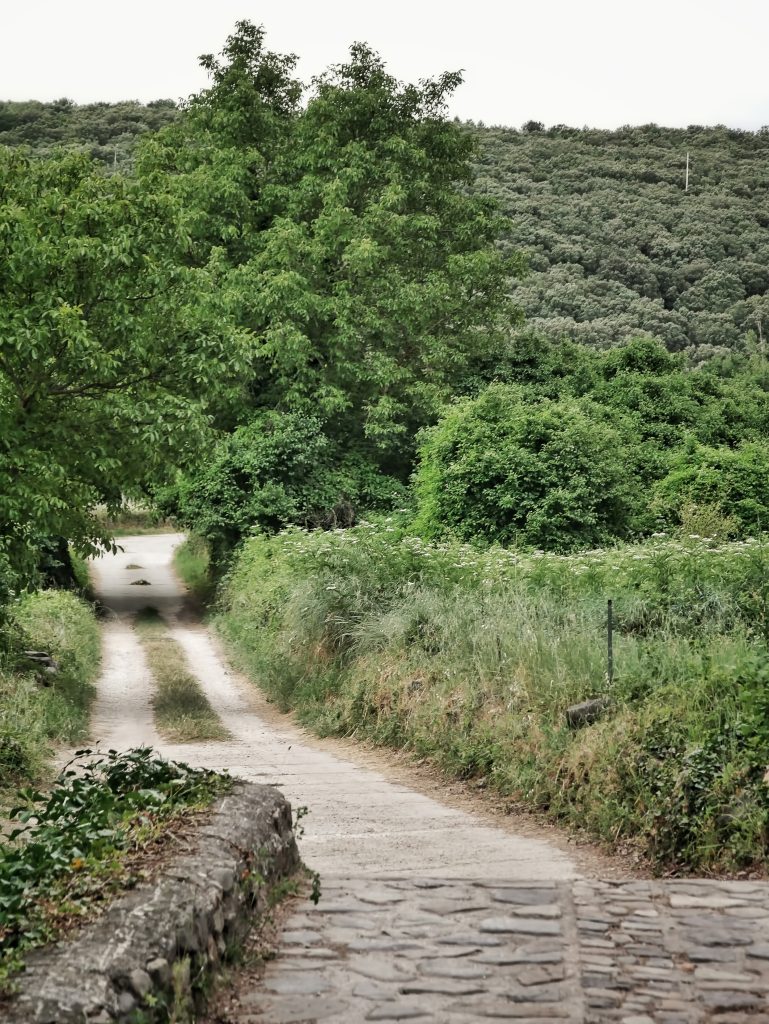 Parque Nacional el Moncayo