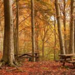 Escapada de otoño en el Moncayo, setas, naturaleza y descanso en un hotel castillo